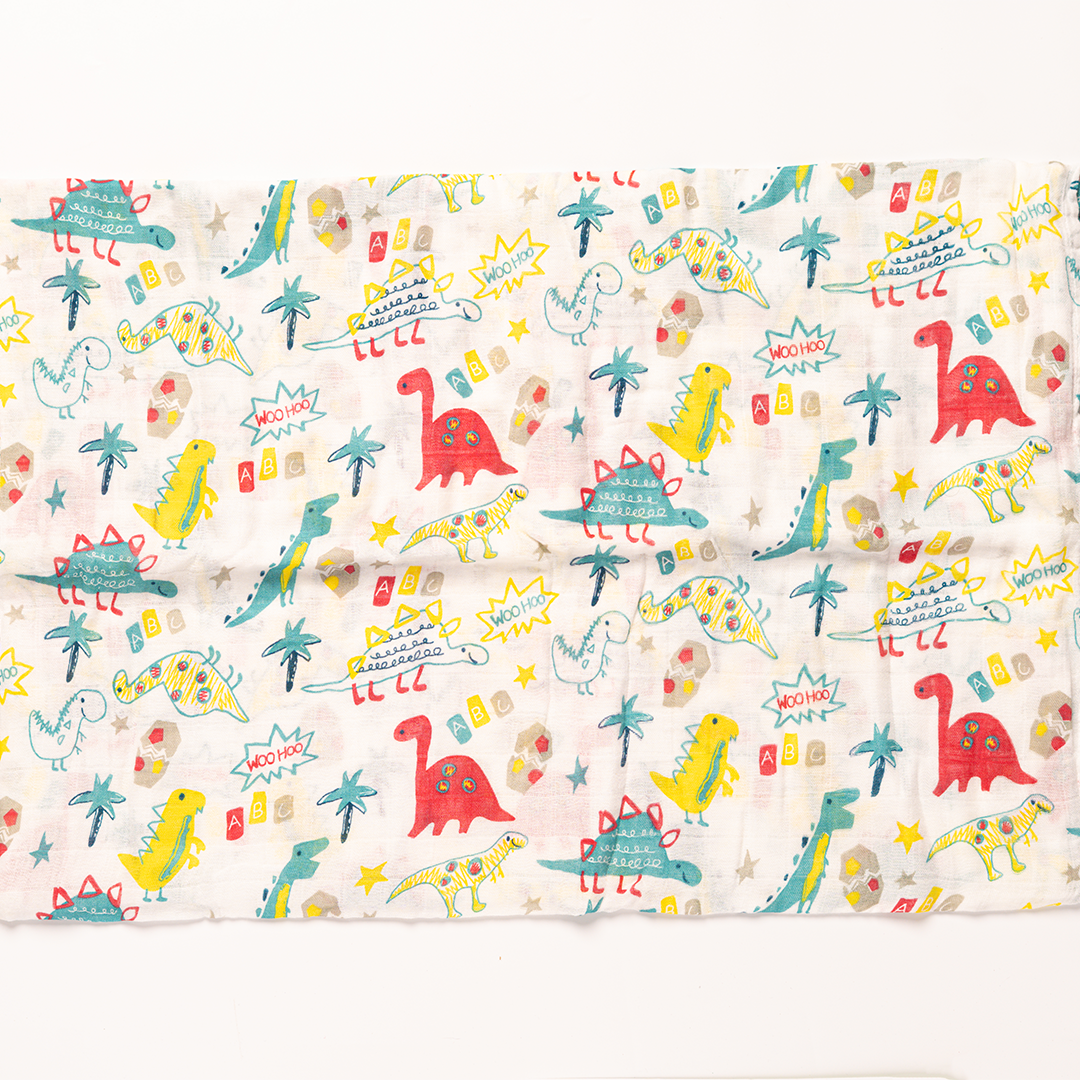 Dino dreams swaddle