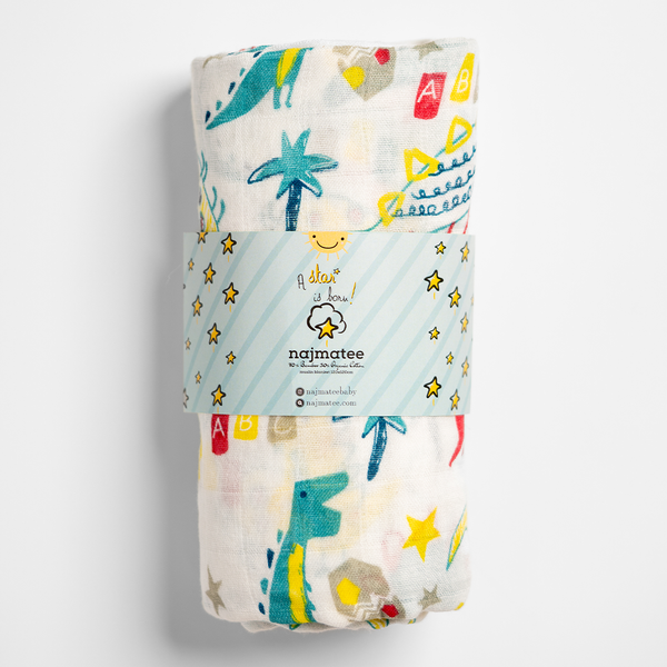 Dino dreams swaddle