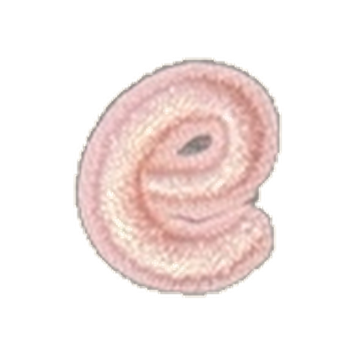 Small Letter Pin