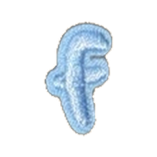 Small Letter Pin